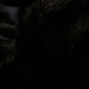 Meet your Posher, Cisco